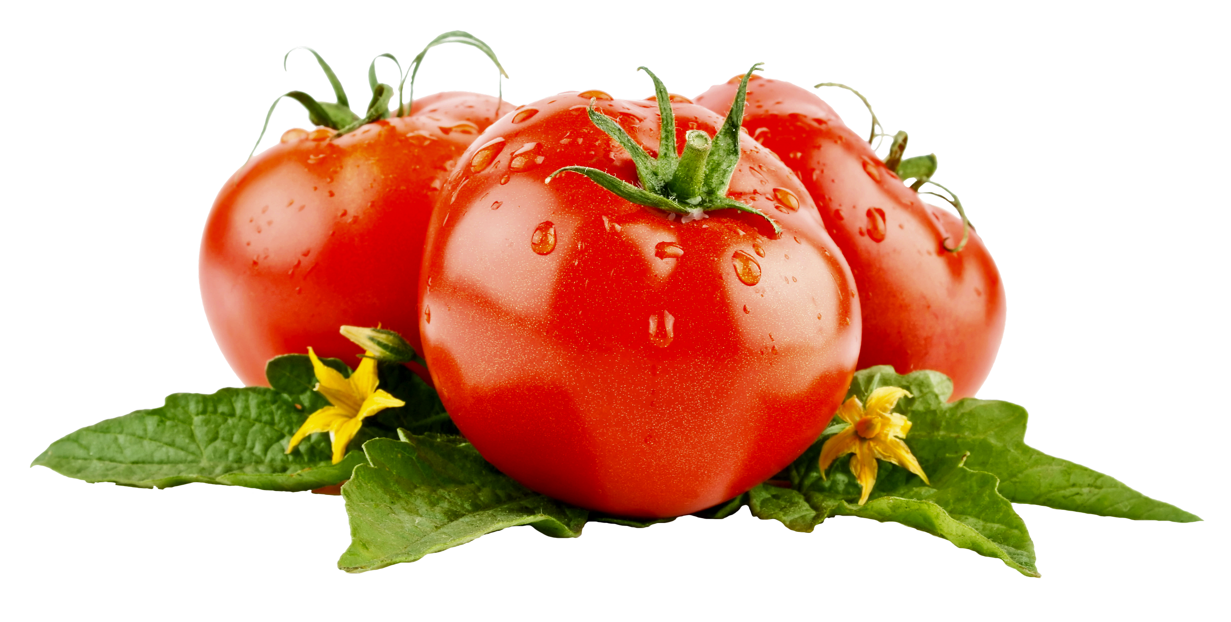 Vegetables